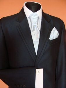 Model nr 209 - Champion plisa